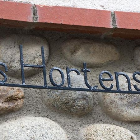 Les Hortensias Millas Exteriér fotografie